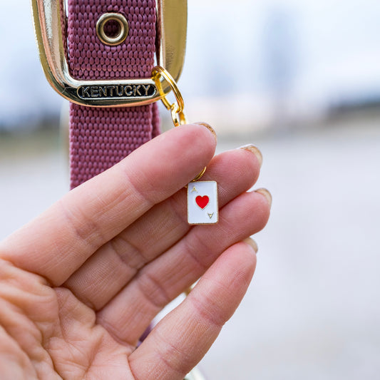 ACE OF LUCK Charm