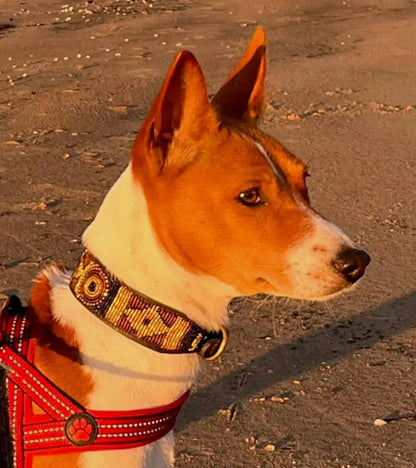 Hundehalsband Maasai Perlen (alle Designs) - Glam & Gallop