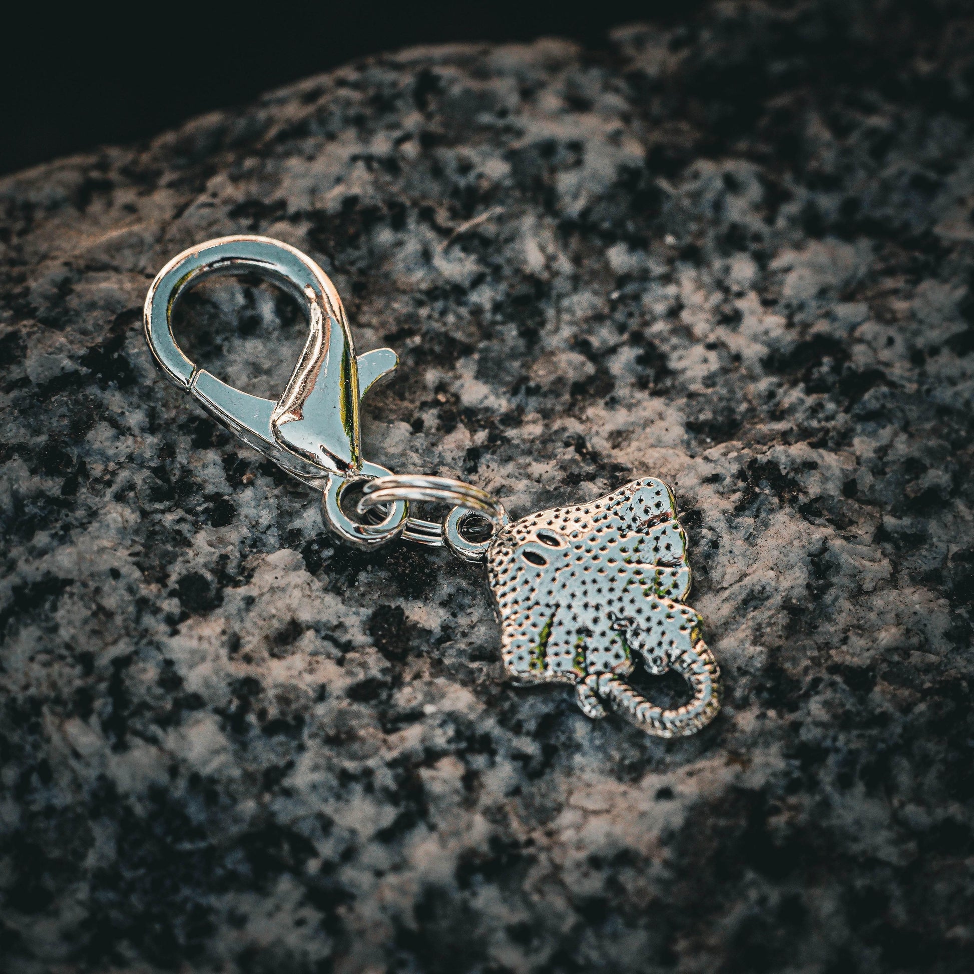 ROCHEN Charm - Glam & Gallop